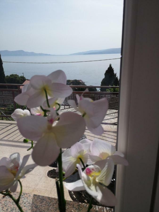 Apartmani Krijesnica Senj  Luaran gambar