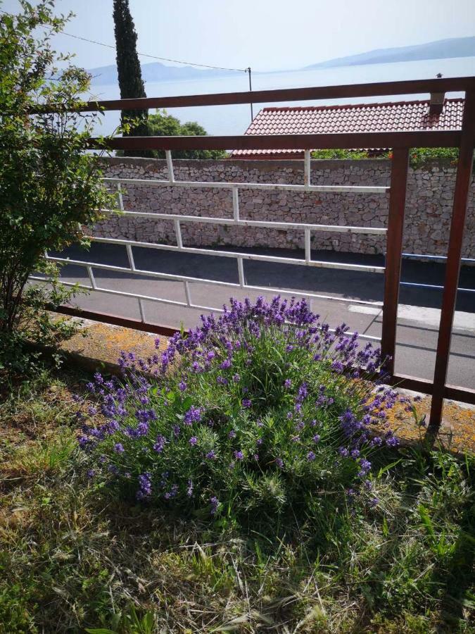 Apartmani Krijesnica Senj  Luaran gambar